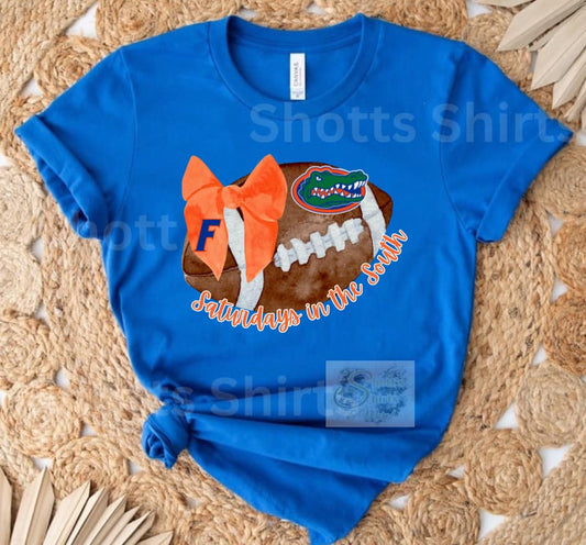 Saturdays in the south Gators
