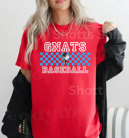 Gnats Baseball Checker