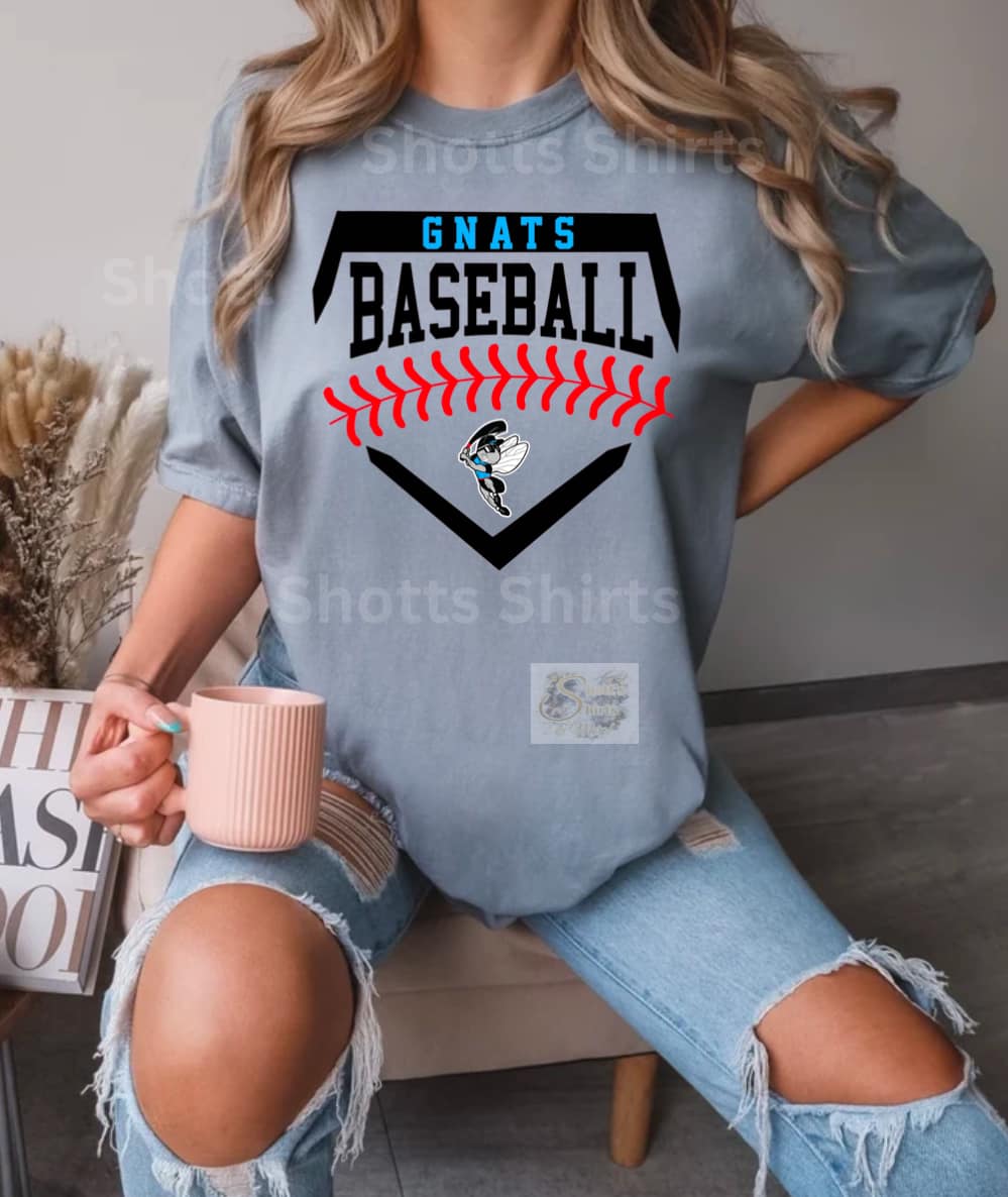 gnats homeplate